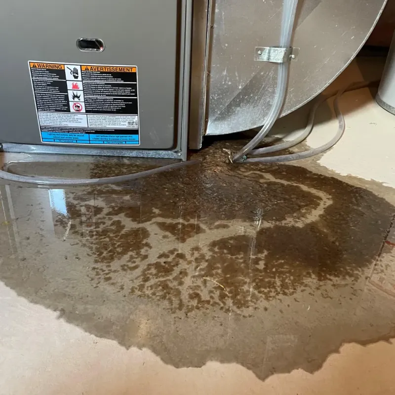Appliance Leak Cleanup in Alamo, TX