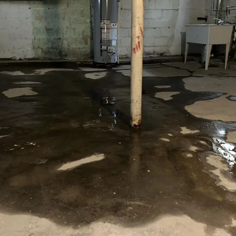 Emergency Water Extraction And Removal in Alamo, TX